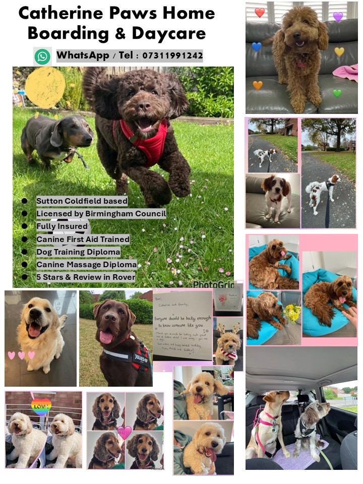 835906d0-450f-4a76-8489-6597202a6163 - Catherine Mok